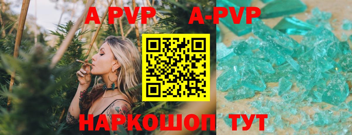 Alfa_PVP СК Казань