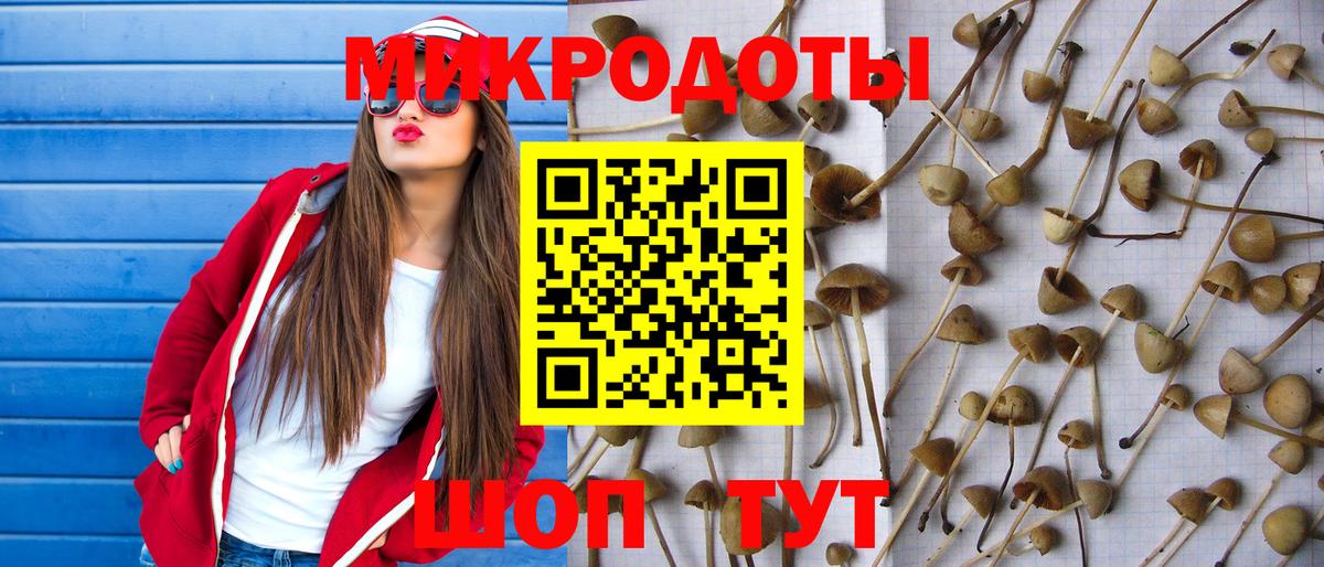 Галлюциногенные грибы GOLDEN TEACHER  Вход с VPN  Казань 
