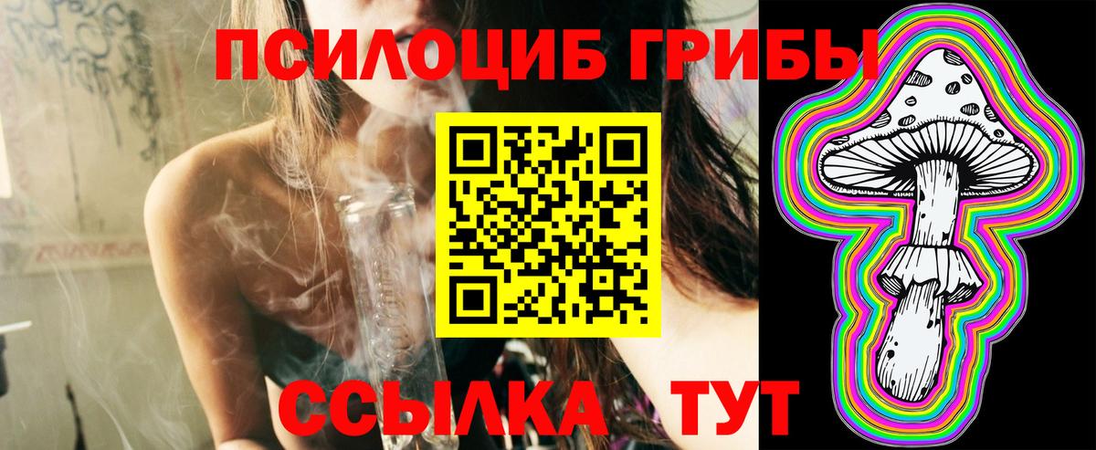 Псилоцибиновые грибы GOLDEN TEACHER Казань
